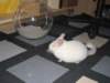 Photo Number 6