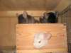 Photo Number 6