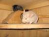 Photo Number 7