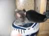 Photo Number 13