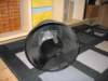 Photo Number 6