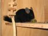Photo Number 11